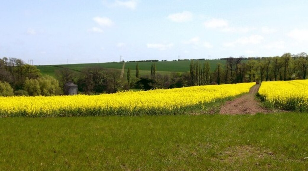 Kuva ”Wyham cum Cadeby” käyttäjältä John Beal (CC BY-SA) / rajattu alkuperäisestä kuvasta