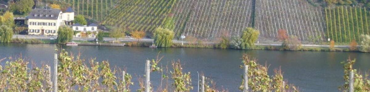 Photo "Geierslei bei Wintrich" by Colin Smith on geo.hlipp.de (Creative Commons Attribution-Share Alike 2.0) / Cropped from original