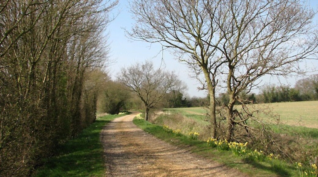 Billede "Morley" af Evelyn Simak (CC BY-SA) / beskåret fra det originale billede