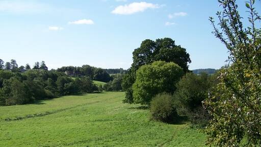 Foto “West Tisbury” tomada por Trish Steel (CC BY-SA); recorte de la original