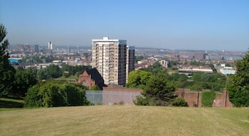River Mersey from Everton Park. Prominent buildings in this view are St Polycarp's Church on Netherfield Road and, further away, St Anthony's Church on Scotland Road, either side of the block of flats on Conway Street. The Mersey can be seen between the buildings of Vauxhall.