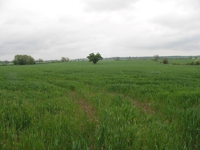 Foto „Walgrave“ von Richard Williams (CC BY-SA)/zugeschnittenes Original