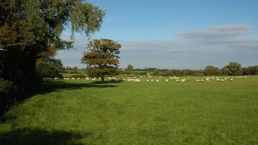 Foto „Stoke Orchard“ von Philip Halling (CC BY-SA)/zugeschnittenes Original