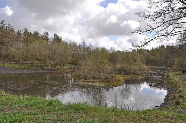 East Pond Mynydd Mawr Woodland Park