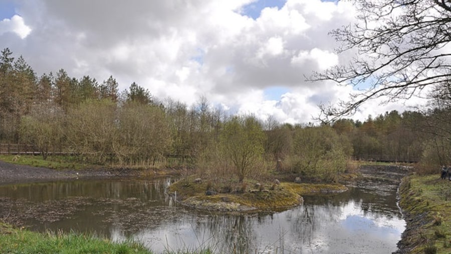 Photo "East Pond Mynydd Mawr Woodland Park" by Mick Lobb (Creative Commons Attribution-Share Alike 2.0) / Cropped from original