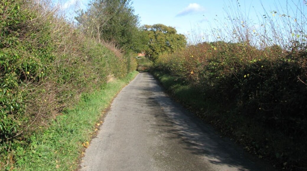 Foto „Poringland“ von Evelyn Simak (CC BY-SA)/zugeschnittenes Original