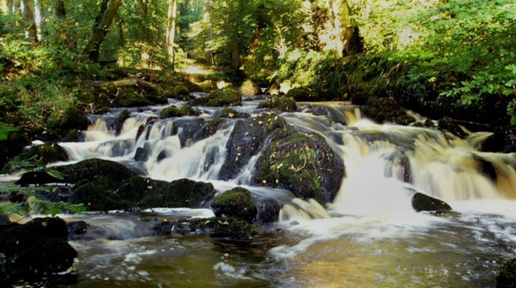 Photo "Glenluce" by David Baird (CC BY-SA) / Cropped from original