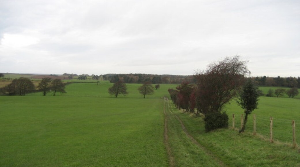 Photo "Grantley" by Chris Heaton (CC BY-SA) / Cropped from original