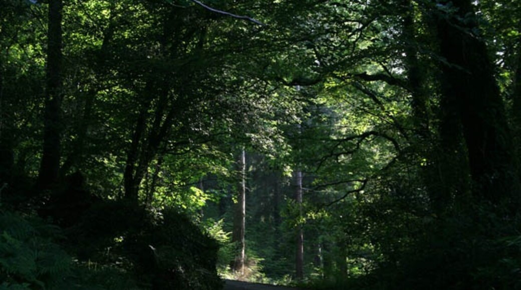 Foto "St. Ive" de Kate Jewell (CC BY-SA) / Recortada do original