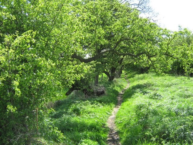 Ảnh "Middridge" của peter robinson (CC BY-SA) / Cắt từ ảnh gốc