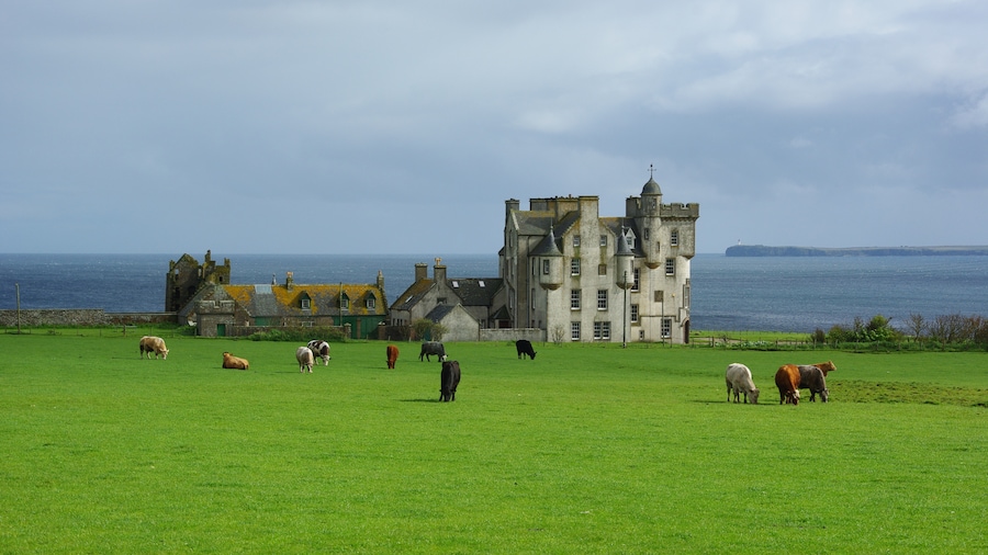 Photo "Keiss Castle - north of Wick, Highland, Scotland" by Kirua (Creative Commons Attribution-Share Alike 3.0) / Cropped from original