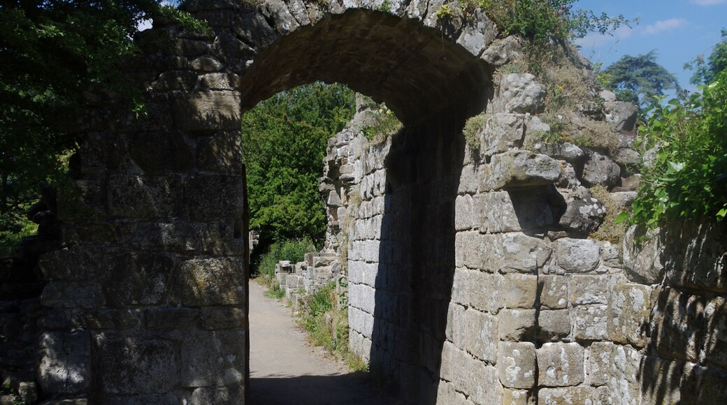 Photo "Jervaulx Abbey" by Mattbuck (CC BY-SA) / Cropped from original