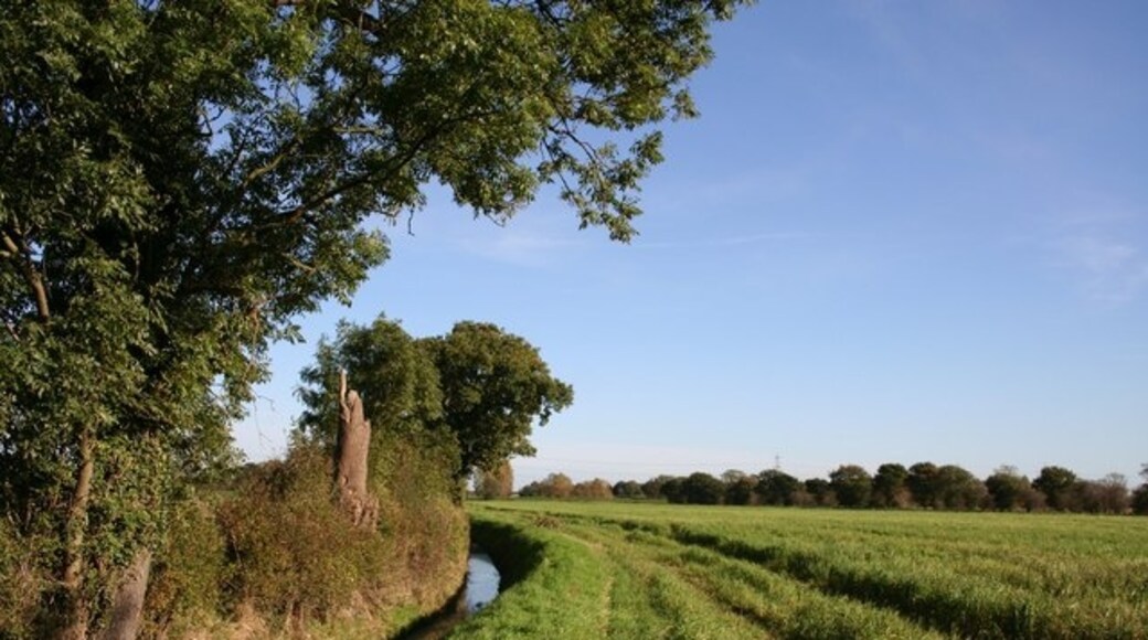 Foto “Fenton” tomada por Richard Croft (CC BY-SA); recorte de la original