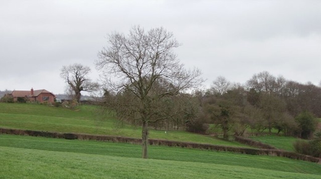 "Greete"-foto av Richard Webb (CC BY-SA) / Urklipp från original