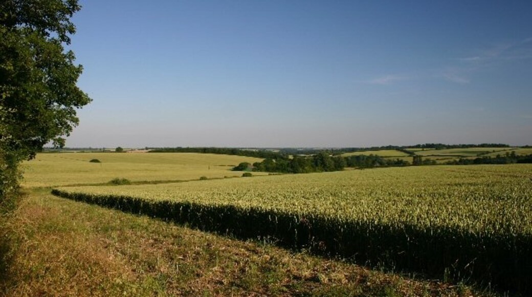 Kuva ”Somerton” käyttäjältä Bob Jones (CC BY-SA) / rajattu alkuperäisestä kuvasta