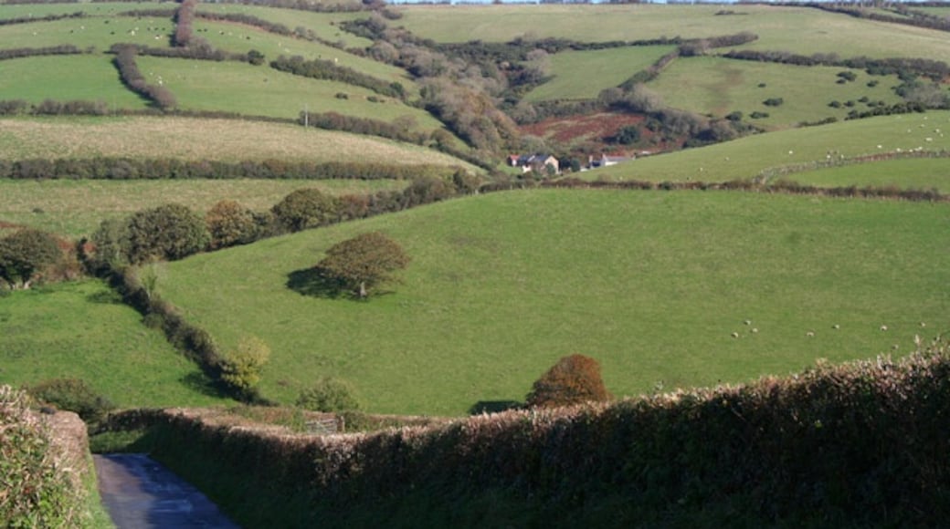 Photo "Combe Martin" by Martin Bodman (CC BY-SA) / Cropped from original