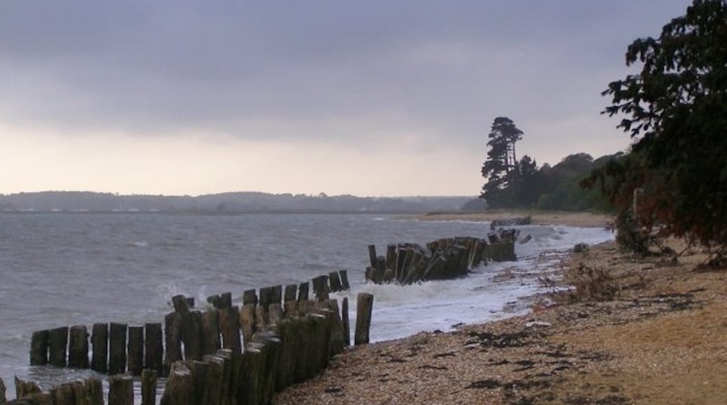 Photo "Lepe Beach" by Jim Champion (CC BY-SA) / Cropped from original