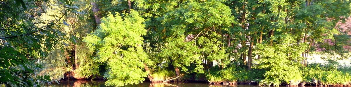 Photo "Enz bei Oberriexingen" by qwesy qwesy (Creative Commons Attribution 3.0) / Cropped from original