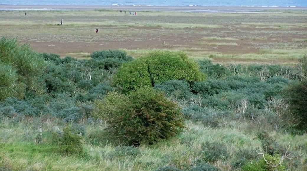 Photo "Saltfleetby-Theddlethorpe Dunes National Nature Reserve" by Wendy Parkinson (CC BY-SA) / Cropped from original
