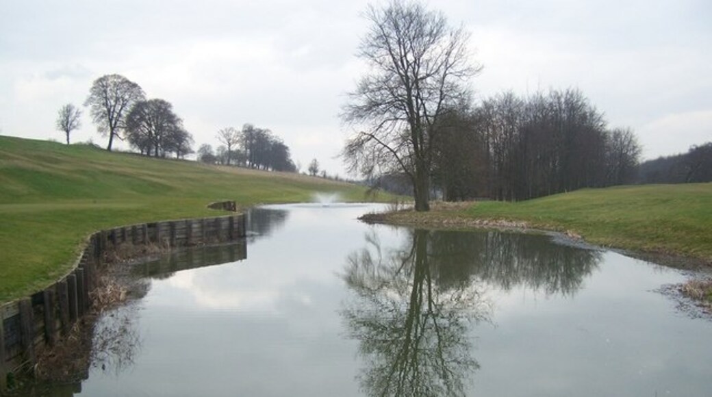 Foto „Ash-cum-Ridley“ von David Anstiss (CC BY-SA)/zugeschnittenes Original