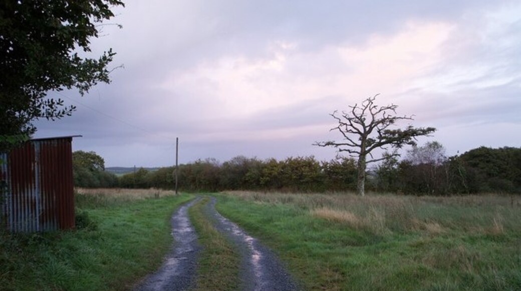 "Rose Ash"-foto av Derek Harper (CC BY-SA) / Urklipp från original