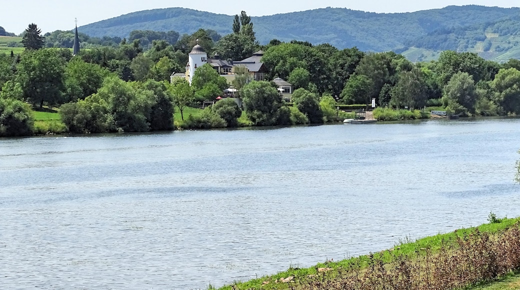 Lieser, Rhineland-Palatinate, Germany