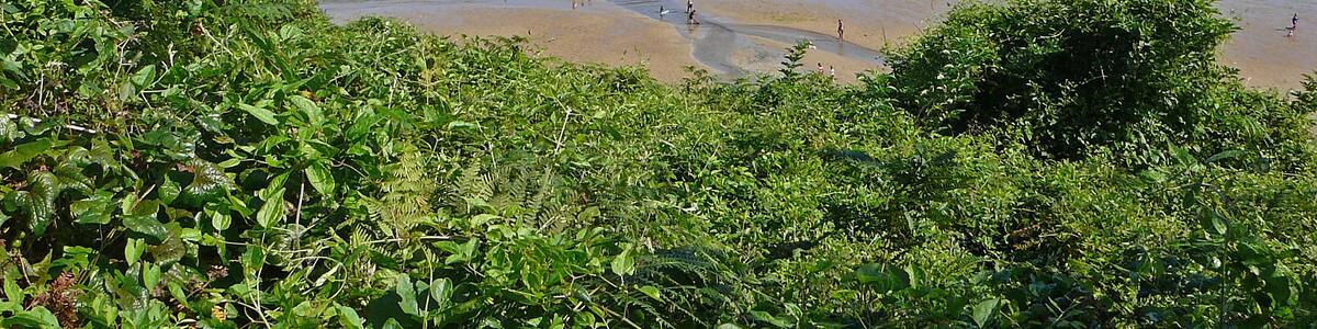 Photo "Maenporth 3" by Tim Green (Creative Commons Attribution 2.0) / Cropped from original