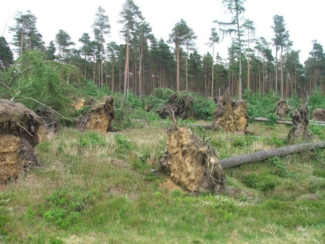 Foto „Stape“ von Steve Partridge (CC BY-SA)/zugeschnittenes Original