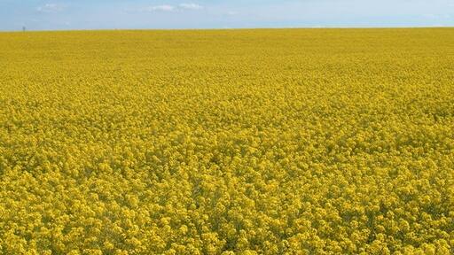 Photo "Mentmore" by Adam (CC BY-SA) / Cropped from original