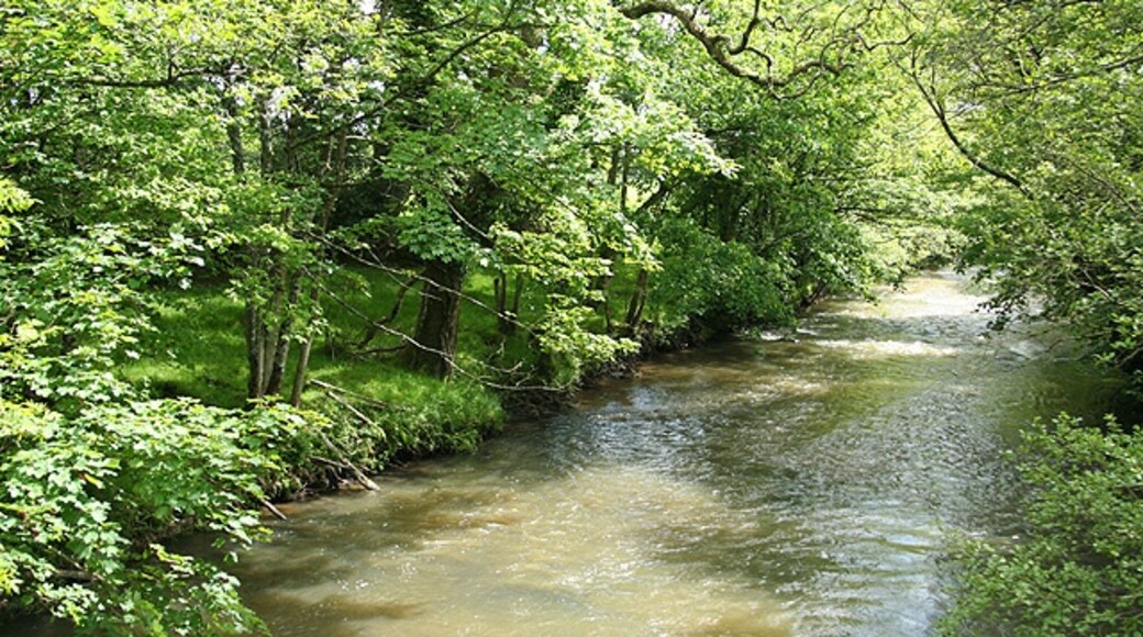 Foto "Werrington" de Martin Bodman (CC BY-SA) / Recortada do original