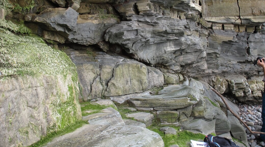 Foto "Stringston" de Mikenorton (CC BY-SA) / Recortada do original