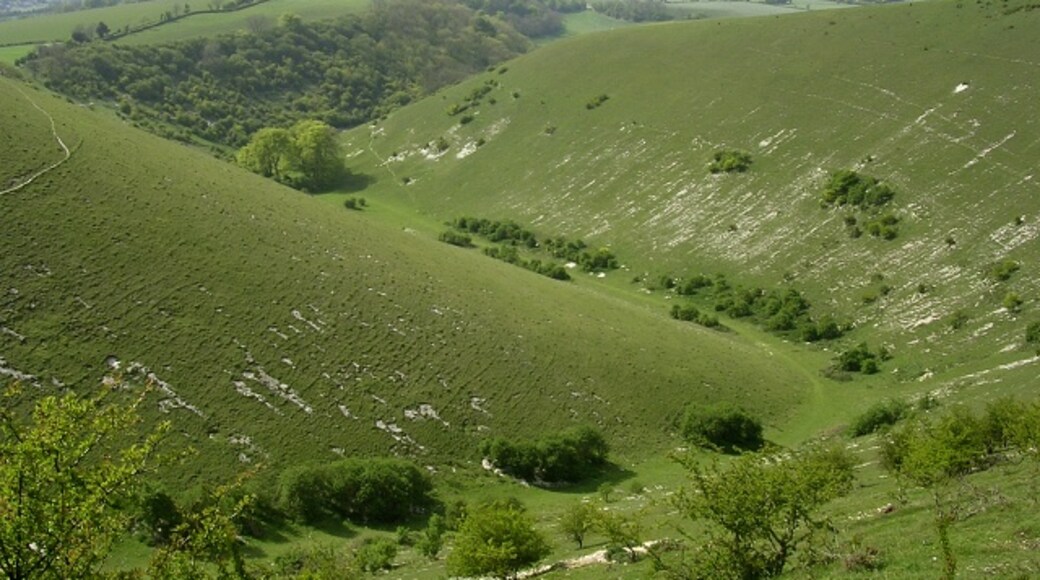 Foto “Langrish” tomada por Jim Champion (CC BY-SA); recorte de la original