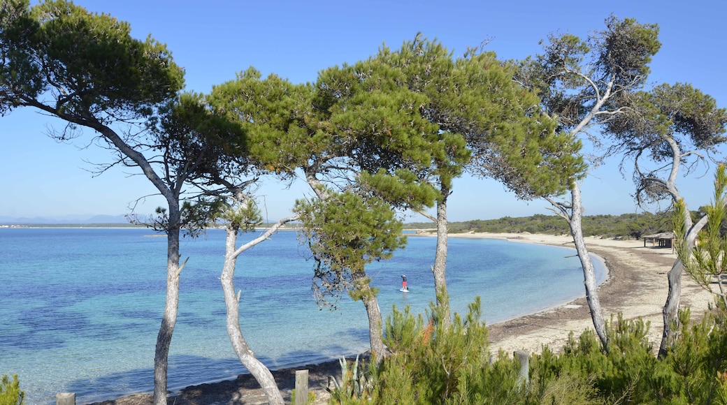 Bildet «Playa D'es Moli de S'Estany» tatt av mateu mulet (CC BY) / originalbilde beskjært