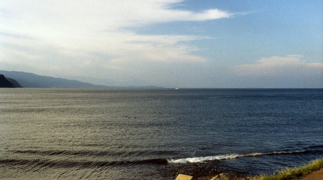 Photo "Hatsushima" by shikabane taro (CC BY) / Cropped from original