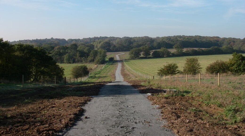 Kuva ”Stapleford Abbotts” käyttäjältä sarah white (CC BY-SA) / rajattu alkuperäisestä kuvasta