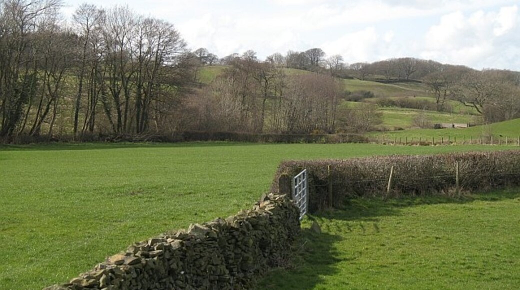 Foto „Preston Patrick“ von Richard Webb (CC BY-SA)/zugeschnittenes Original