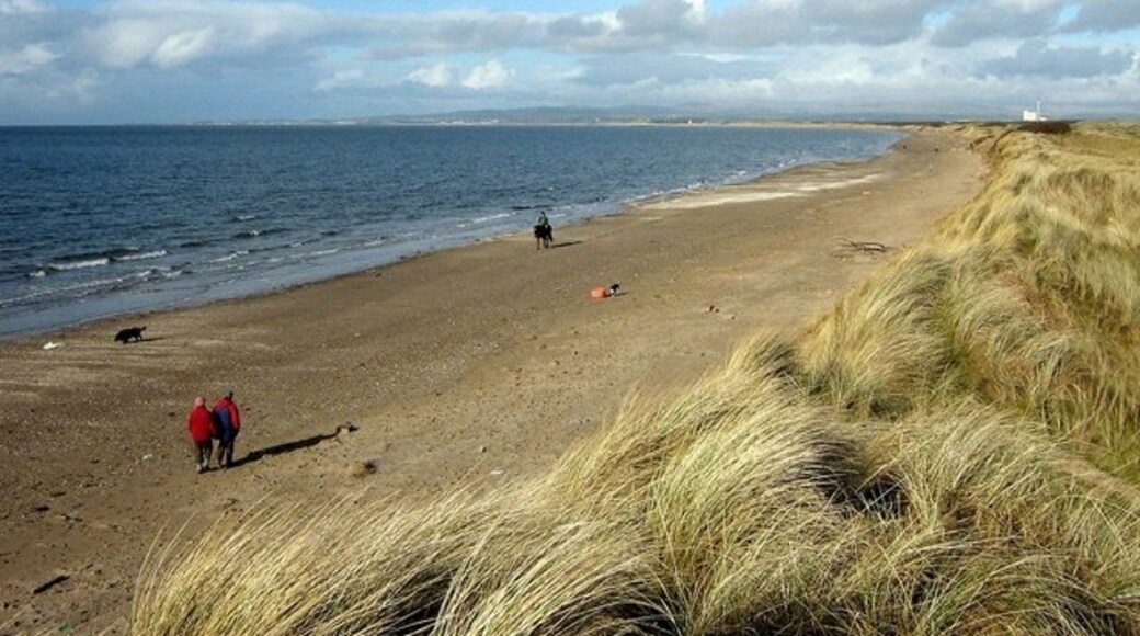 Photo "Irvine Beach" by Ian Mockford (CC BY-SA) / Cropped from original