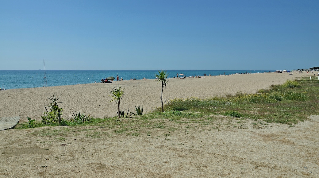 Foto "Playa de Levante" de Alberto-g-rovi (CC BY-SA) / Recortada de la original