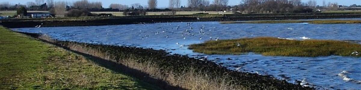 Photo "Salt marsh near Lower Halstow. From the sea wall north of Lower Halstow where it skirts around the site of the old brick works, now a nature reserve belonging to the parish. Frog Farm is on the extreme left of the picture." by Penny Mayes (Creative Commons Attribution-Share Alike 2.0) / Cropped from original
