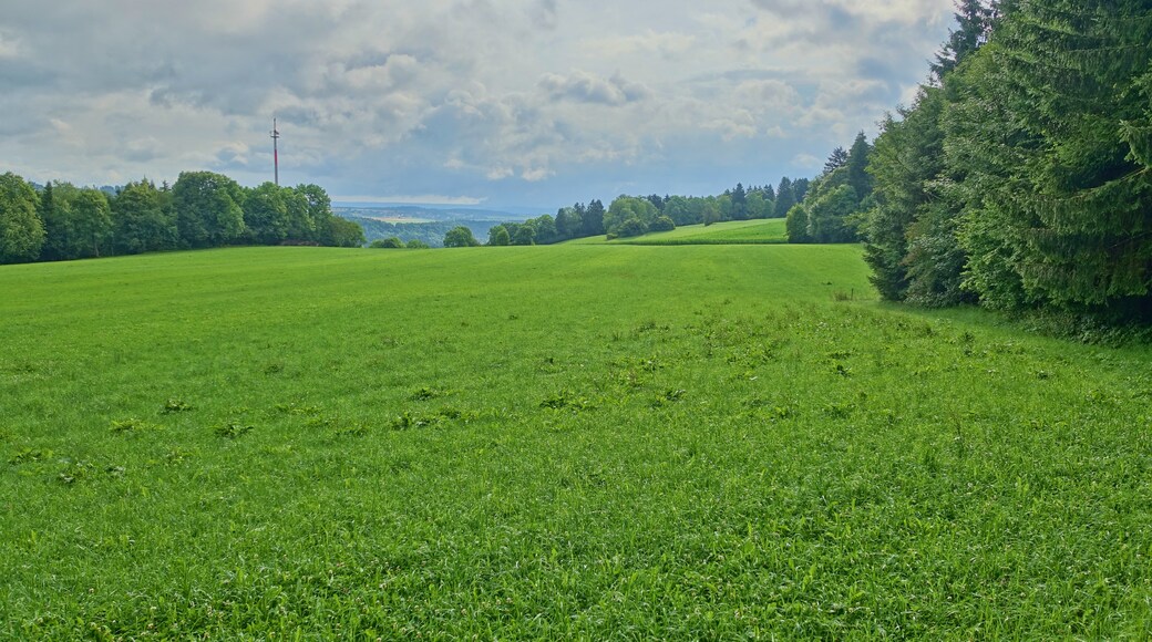 Bonndorf, Baden-Württemberg, Germany