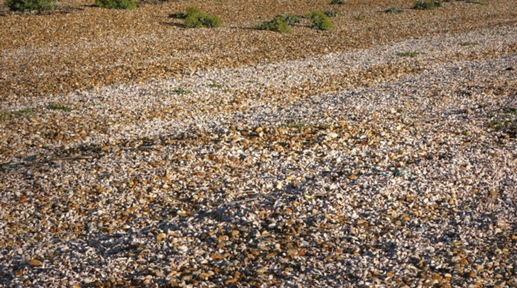 Photo "Hayling Island West Beach" by Chris Gunns (CC BY-SA) / Cropped from original