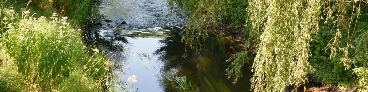 Photo "Fotos aus Brokstedt Dieses Bild zeigt die"Brokstedter Au"." by Nightflyer (Creative Commons Attribution 3.0) / Cropped from original
