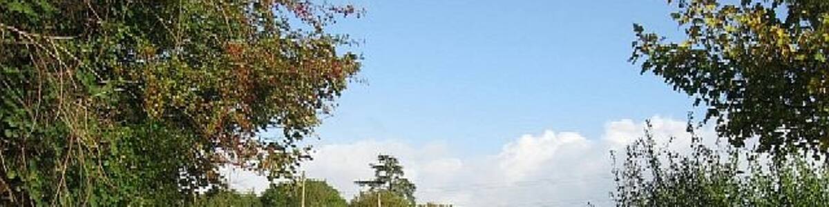 Photo "Stone Lane Between Runhall and Welborne." by Roger Gilbertson (Creative Commons Attribution-Share Alike 2.0) / Cropped from original