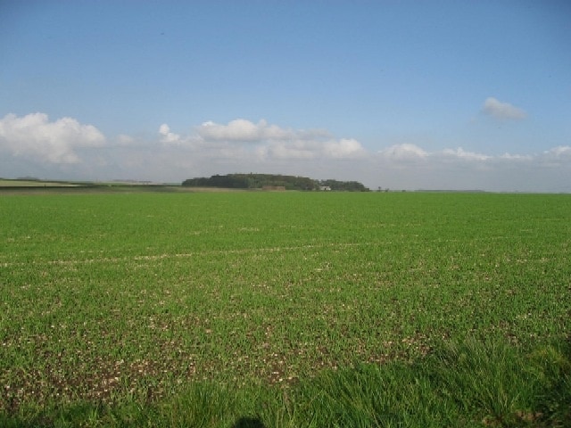 Photo "Kirby Underdale" by Roger Gilbertson (CC BY-SA) / Cropped from original