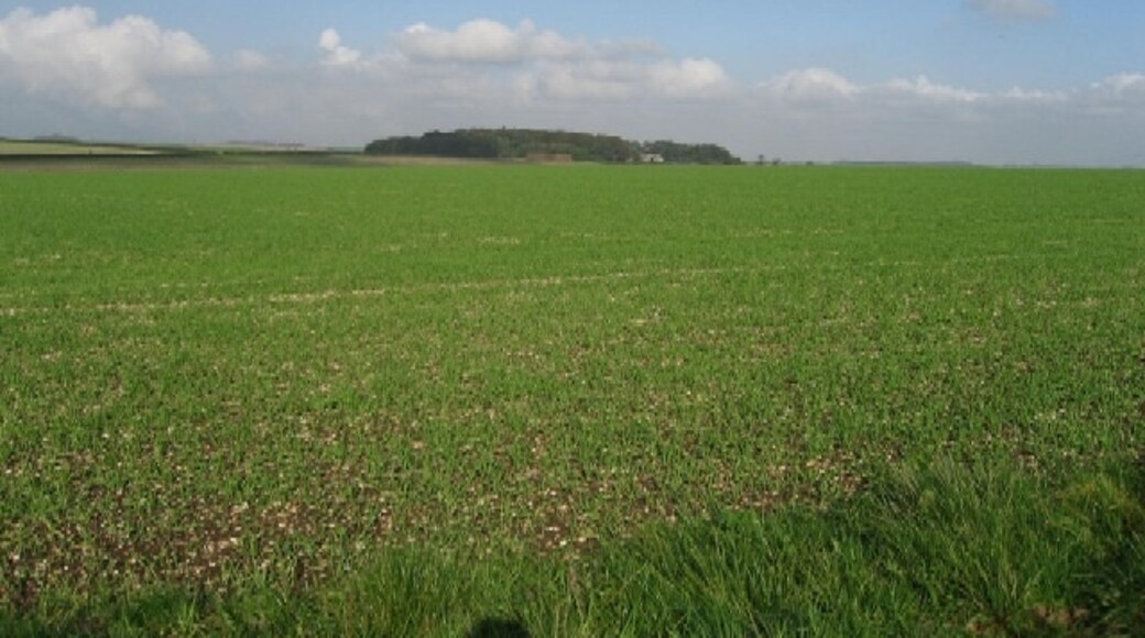 Foto “Kirby Underdale” tomada por Roger Gilbertson (CC BY-SA); recorte de la original