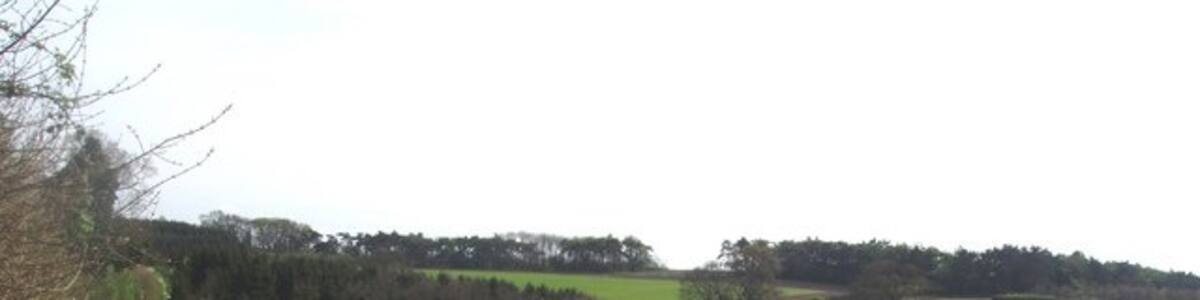 Photo "Farm track Just off the A 1067 is the lane to East Lexham. This is typical of rural Norfolk, open farmland that rarely changes from year to year, except for the crops. It's just 52 metres above sea level." by David Williams (Creative Commons Attribution-Share Alike 2.0) / Cropped from original