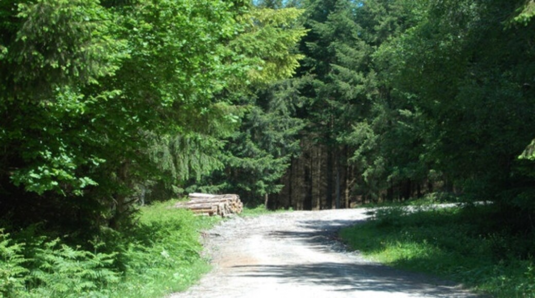 Photo "Pipe Aston" by Row17 (CC BY-SA) / Cropped from original