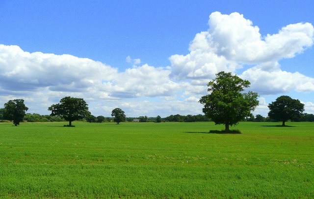 Grass land east of Toutley. Viewed from the footpath to Matthewsgreen Farm on the northern outskirts of Wokingham.