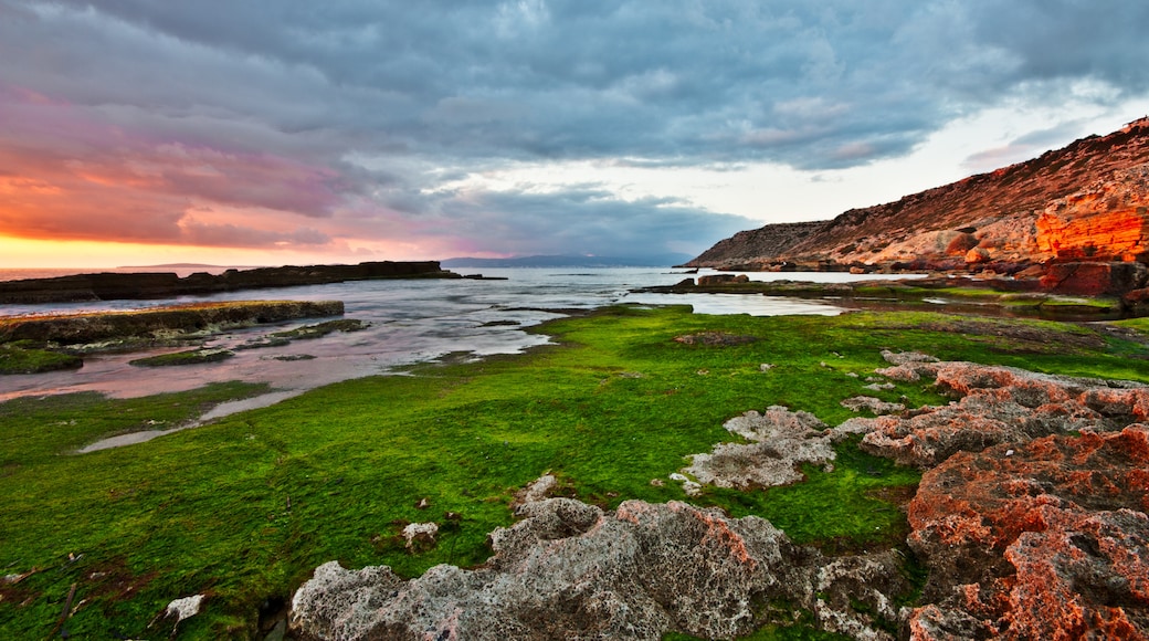 Photo "Puig de Ros" by Andrés Nieto Porras (CC BY-SA) / Cropped from original