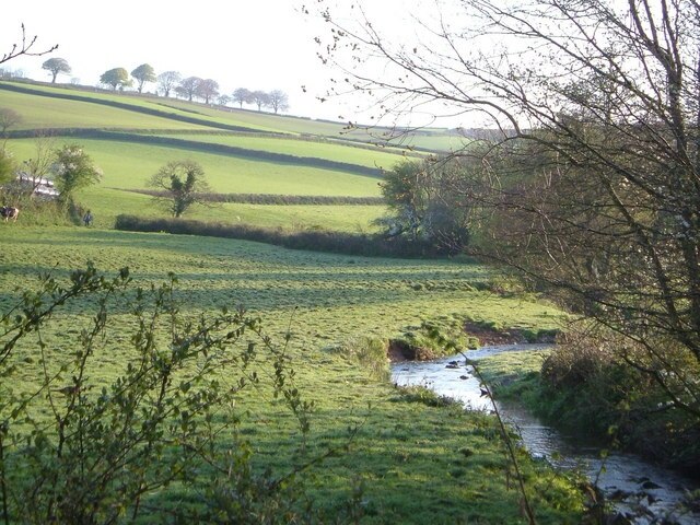 River Wash at Middle Washbourne. Scarcely meriting the name "river", the Wash heads downstream from the bridge at Middle Washbourne. Cows coming in for milking on left. 7:13 am.